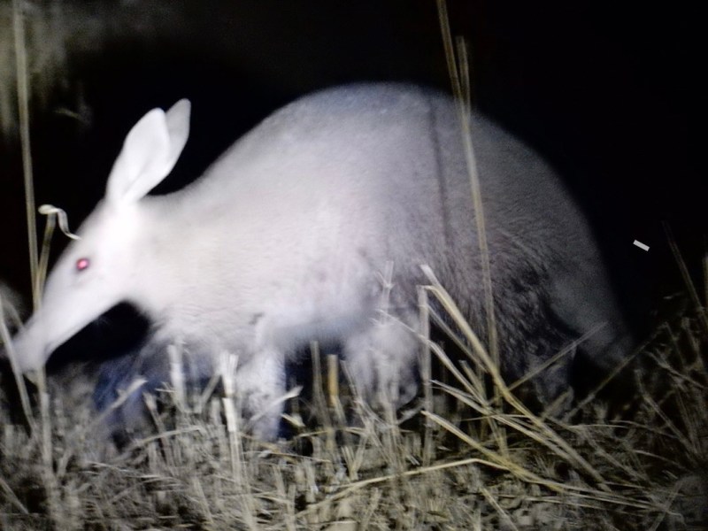 Five insights that changed my view of&nbsp;autism