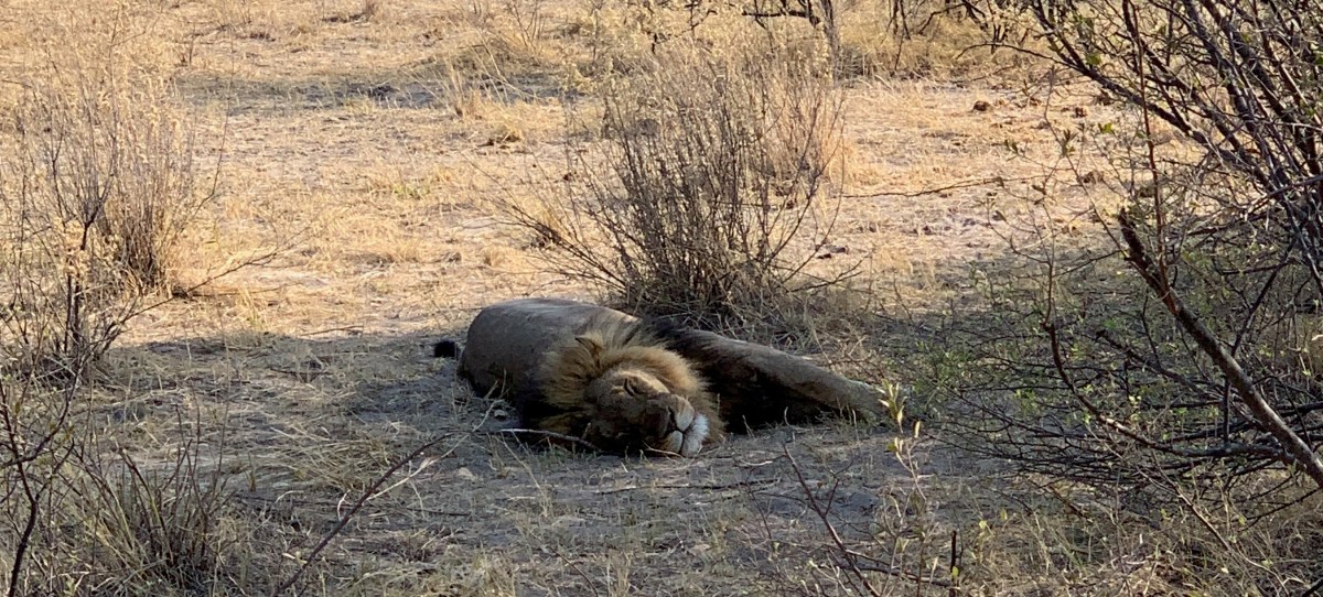 Some Notes on Autistic&nbsp;Burnout